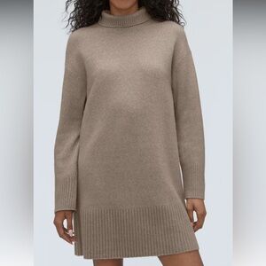 Everlane The Cozy Stretch Turtleneck Dress